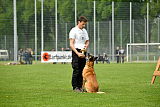 Brisko vom Greifenring