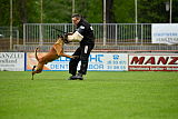 Kiolo vom Falkenstock