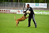Kiolo vom Falkenstock