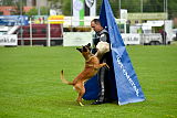 Kiolo vom Falkenstock