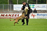 Piet (Reiter)