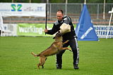 Piet (Reiter)