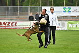 Piet (Reiter)