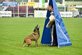 Piet (Reiter)