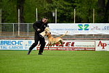 Rocket (de Boer)