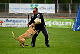 Rocket (de Boer)