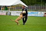 Rocket (de Boer)
