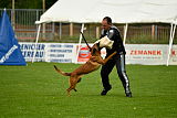 Bacima Cri de Loup