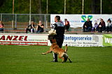 Nexor vom Brunsbeker Land