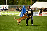 Nexor vom Brunsbeker Land
