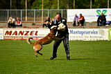 Nexor vom Brunsbeker Land