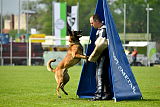 Nexor vom Brunsbeker Land
