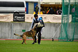 Parendo Vinces Captain Koons