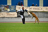 Baxx vom roten Drachen