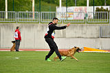 Baxx vom roten Drachen