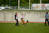 Catlyn vom Clan der Wolfe
