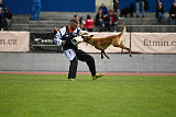 Catlyn vom Clan der Wolfe