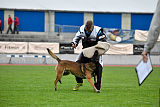Max Arrow Injami