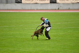 Atas of Hungarian Working Dogs