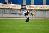 Phenix de Orelav