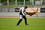 Phenix de Orelav