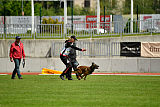 Baxter Ostraryka