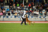 Aramis Red Devils Dog
