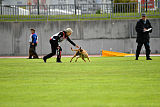 Uma Anubis the Second