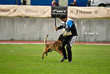 Bolt van Kluggenheim