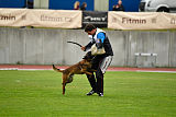 Bolt van Kluggenheim