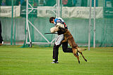 Bolt van Kluggenheim