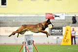 Bolt van Kluggenheim