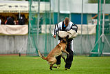 Safft Security's Coxie