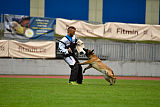 Safft Security's Coxie