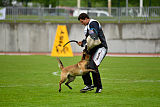 Safft Security's Coxie