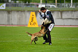 Safft Security's Coxie