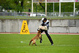 Safft Security's Coxie