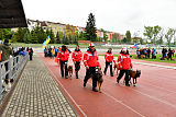 Siegerehrung, Victory Ceremony