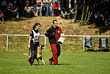 Howard des Mauvais