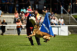Patriot Dei Bonaccorso