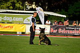 Aiko von der alten Stolzenburg