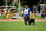 Ringo vom Lindelbrunn