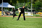 Gauner vom Tanneneck