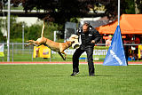 Rocket (de Boer)