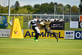 Eros Fly Dogy Attak