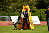 Eros Fly Dogy Attak