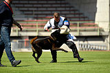 Halden NPA Detection Dog