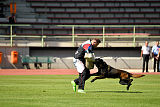 Halden NPA Detection Dog