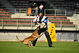 Aramis Red Devils Dog