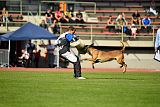 Aramis Red Devils Dog
